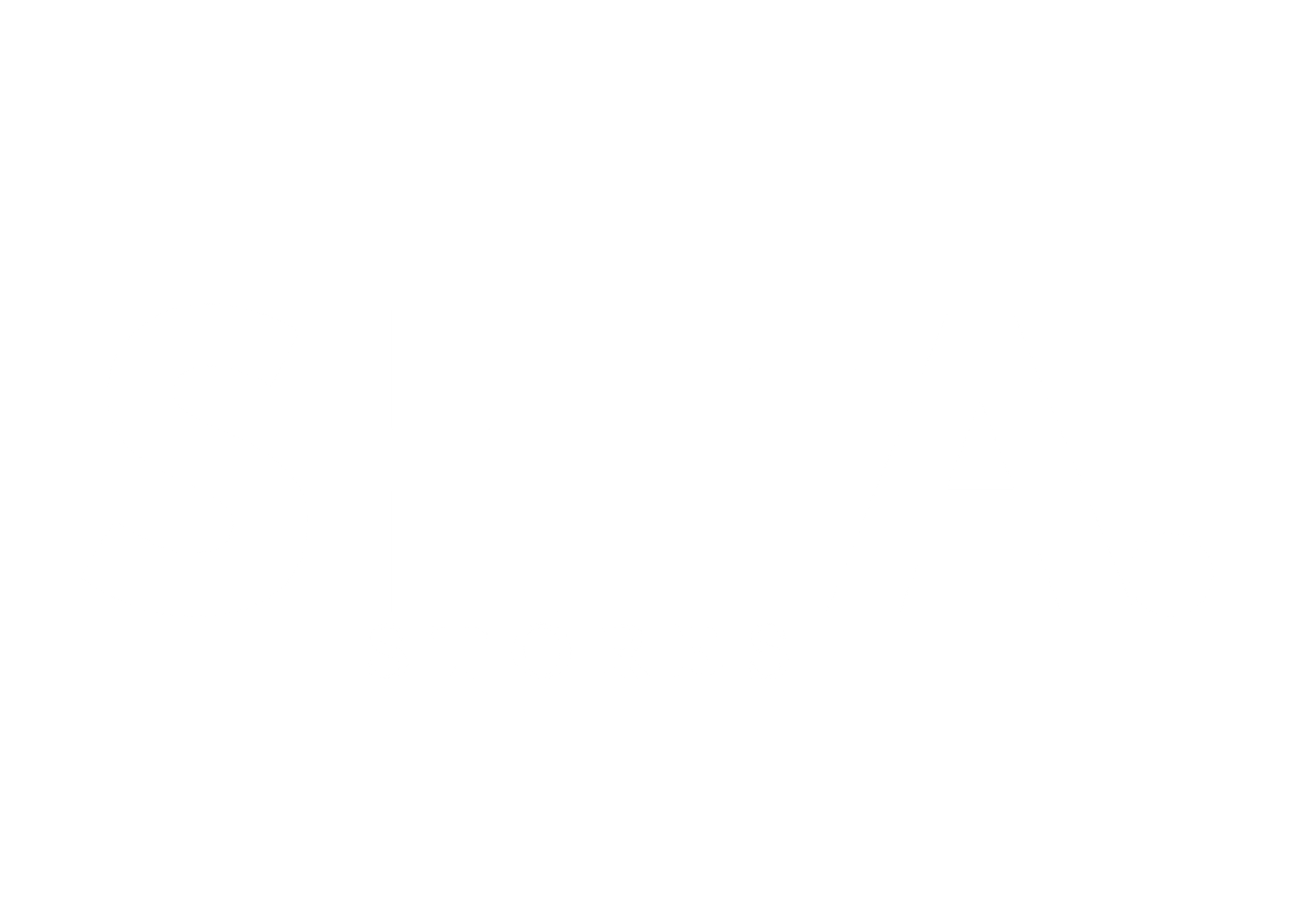 Shifa stores